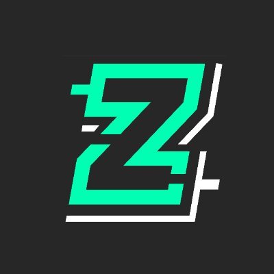 The Z Institute Profile