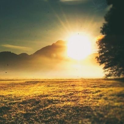 Plaque128's profile picture. ﷽
معلم
.
دنیاارزشی نداره سینه‌زن...روکسی به جزحسین(ع)حساب نکن
.
💍💓