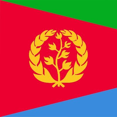 Eritrean and proud 🇪🇷