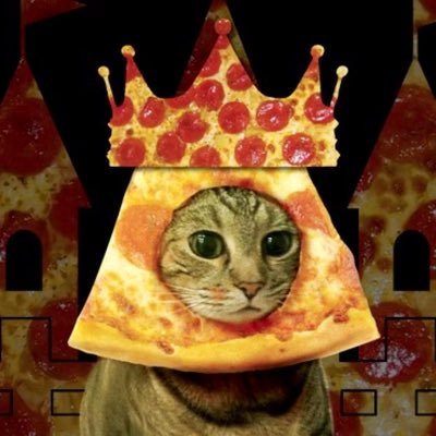 PizzacatM's profile picture. Pizza ve kedyler aşkına