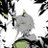 lannnnl1's profile image