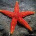Department of Biology, Aarhus University (@biologyaarhus) Twitter profile photo Department of Biology, Aarhus University (@biologyaarhus) Twitter profile photo