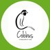 Colobus Conservation (@team_colobus) Twitter profile photo