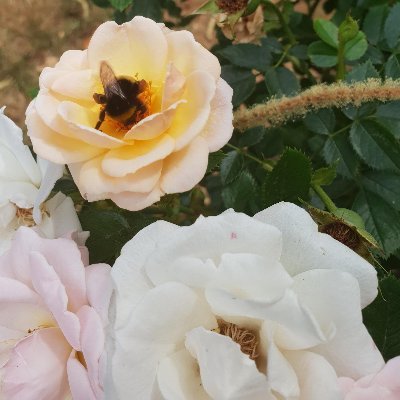 Cloudbe50195461's profile picture. 