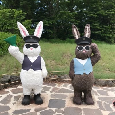 sooni_ks's profile picture. 🍀📚🐶🌏