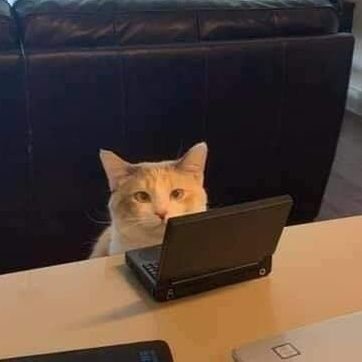 perambahAS's profile picture. Hello there!