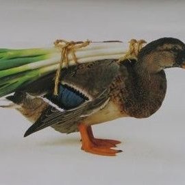 株2004年~、専業2014年~
プレミアム寝そべり族、チンパントレーダー、株とマンションのハイブリッドクラスタ、r>g、fundnote応援