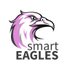 Smart Eagles (@SmartEaglesZed) Twitter profile photo