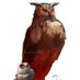 Bertrand HOTTIN (@bhottin) Twitter profile photo Bertrand HOTTIN (@bhottin) Twitter profile photo