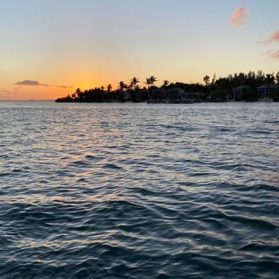 trades_bobby's profile picture. this is my trading journal and thoughts. if money buys happiness, i guess the price kills.🇻🇬