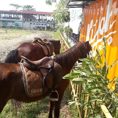 Mengalir jadi baik