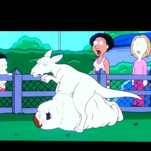 minzaung's profile picture. 