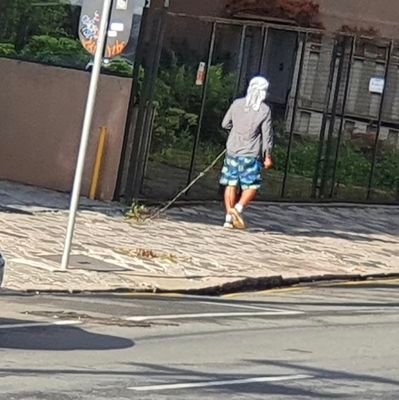 PliacekosNeto's profile picture. 