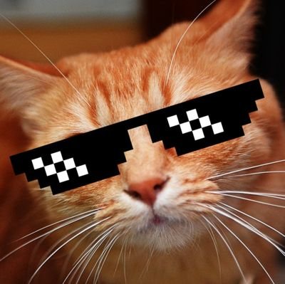 PC MASTERRACE | never been Ratio'd | Fall Guys is better than Among us | Call of Duty is the best FPS game | my opinion = fact | PlayStation is better than Xbox