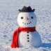 Standing Snowman (@SnowmanStanding) Twitter profile photo