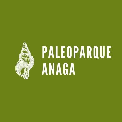 Este proyecto pretende revalorizar los recursos paleontológicos localizados en el Macizo de Anaga y sus límites
👩‍🔬👩🏻‍🔬🦎🌰🐚⛏️