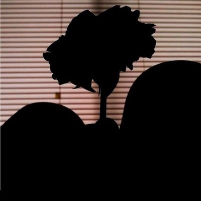 Leticia47460038's profile picture. Forever