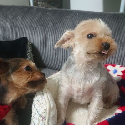 2UtVdmVBBeRRQgy's profile picture. 