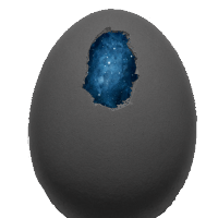 ImVoidEgg (@imvoidegg) 's Twitter Profile
