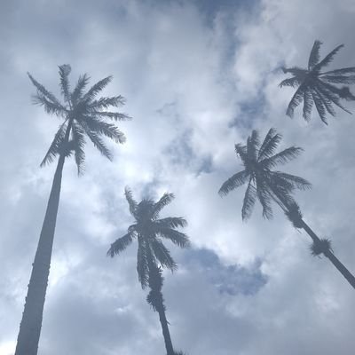 JoanSainz1's profile picture. 