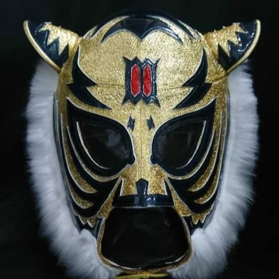 Thundersteel12's profile picture. 