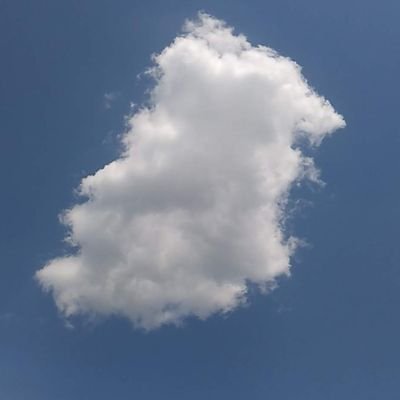 l4LW1MWtyFdbNHq's profile picture. ３匹のねこさん達と暮らしてます。

キジトラ①号♂

白黒ハチワレ②号♂

茶シロ③号♂

②号③号は兄弟。

②号③号と①号は従兄弟。

血縁者だから？ケンカもせず毎日仲良く過ごしてます∩(^ΦωΦ^)∩