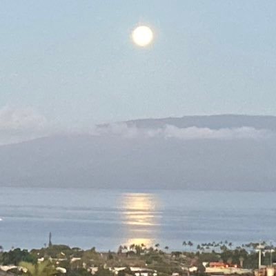 LinhLovingLife's profile picture. Experience life, Being a better person, Making Lemonade ❤️🌈#Loves #Traveling #Music #Arts #BTSARMY ⟬⟭#BTS ⟭⟬ #BTS_PermissionToDance