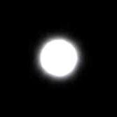 bu9boy's profile picture. 