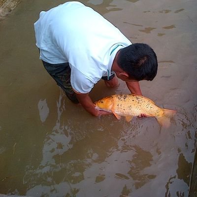 aly_ayammas's profile picture. 