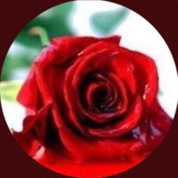 ام محمد/🇮🇶 (@ssusa56) Twitter profile photo