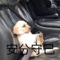 opeak (@qttopq) 's Twitter Profile