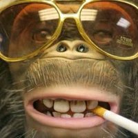 Dr Dirk Donkerbal (@ddonkerbal) 's Twitter Profile