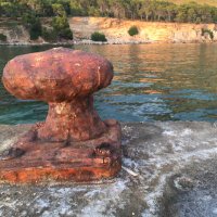 Jaume Vicens (@jauvic) 's Twitter Profile