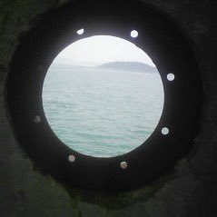 Shaygogo's profile picture. 本が好きです、古本屋さんは落ち着く空間静岡県清水港住まい、実家は呉市安浦町三津口　HONDA車はEGシビックから現FIT迄乗り継ぎ中