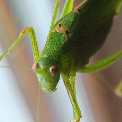 troppa1's profile picture. A l'affût de la subtile poésie du quotidien.