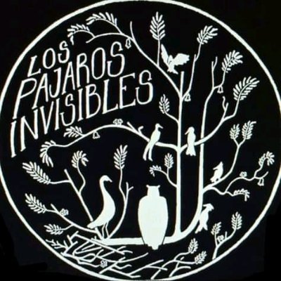 LosPajarosInvi1's profile picture. Banda de Durazno - Uruguay
Jugamos a tocar distintos estilos musicales y timbres!

https://t.co/lGFRgDK8Hz