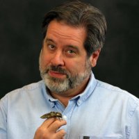Dr Bob(@GYEInsects) 's Twitter Profile Photo