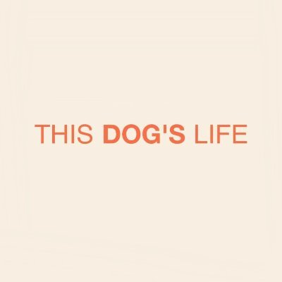 Created by dog parents & dog people to bring you the best dog products & advice. #thisdogslife