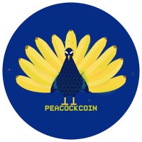 PeacockCoin | Official 🦚 (@peacockcoin) 's Twitter Profile