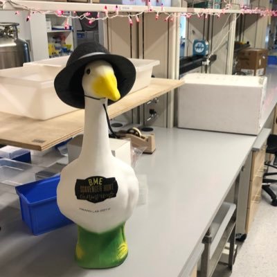 Official Goose of the Hwang Lab at VCU