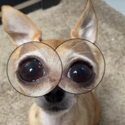 JustNick312's profile picture. This is where I yell about sports.