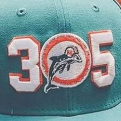 Dolphins 🐬 Heat 🔥 Panthers 🐀 Canes 🙌