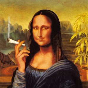 danaelises's profile picture. One of a kind. Jill of many trades; master of none. Mycologist.   Chronic Intractable Pain Advocate. Cannabisseur.