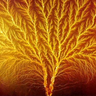 le_prog_opinion's profile picture. #1 Universal Totem Orchestra fan | I tweet about progressive rock music sometimes | They/them