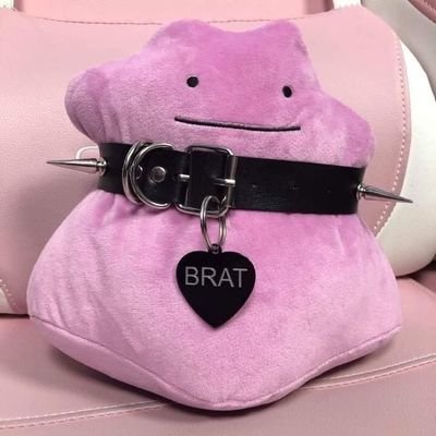 BruAvanza's profile picture. é mentira