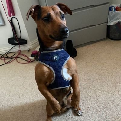 Almond81893444's profile picture. Mandel