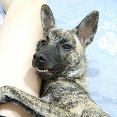 e5t94AaWDSzQtsV's profile picture. 來自台灣新北，興趣是研究各種金融商品，心情不好時就去罵小粉紅兩句，看他們氣噗噗，就是這樣🇹🇼🇹🇼🇹🇼