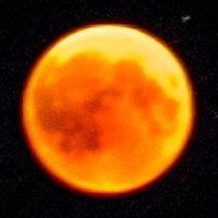 🚀 우주비행사 (@8astronut8) 's Twitter Profile Photo