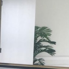 monu1419's profile picture. 