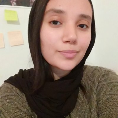 Project Manager at the Algerian Media Literacy Camp.
American University alumna. Blogger at Algerian Black Pearl.